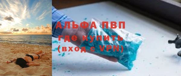 прущие грибы Абинск