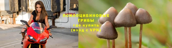 МДПВ Абаза