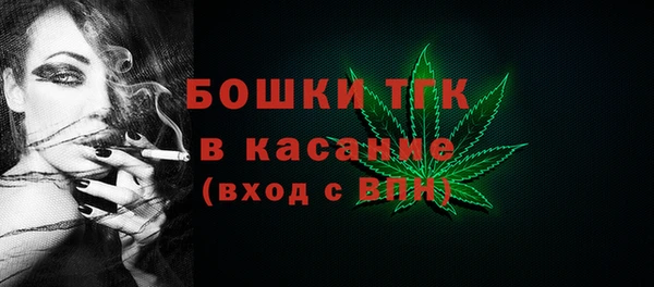 прущие грибы Абинск