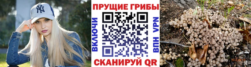 хочу наркоту  Алдан  Псилоцибиновые грибы GOLDEN TEACHER 